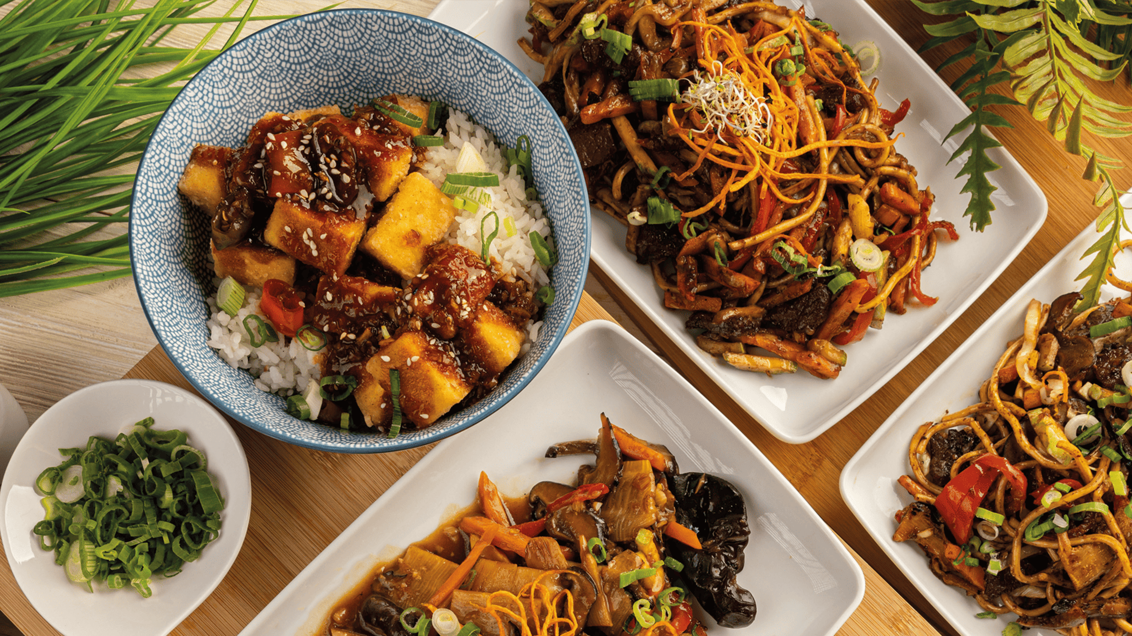 Mayflower Chinese Gloucester